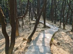 -火炉山森林公园