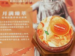 -哈根达斯(天河城店)