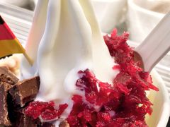 -JW德国冻酸奶Frozen Yogurt(龙湖成都滨江天街店)