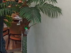 -紫藤园·天目湖大鱼头(南山竹海店)