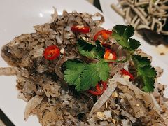 -蝎王府羊蝎子(西直门店)