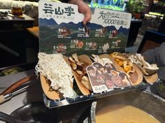 -芸山季·云南山珍菌火锅(人民广场来福士店)