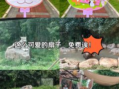 -郑州银基国际旅游度假区