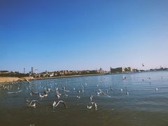 -朱記糯米蛋糕(千川百货店)