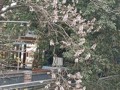 -红星桥(地铁站)