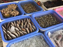 -南沙十九涌渔人码头-南门