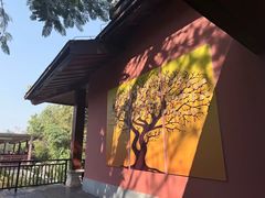 -西双版纳洲际度假酒店-海鲜傣味烧烤·侬香全日制餐厅