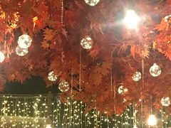 -令狐冲烤鱼·烧菜馆(达明店)