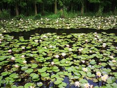 -艾溪湖湿地公园