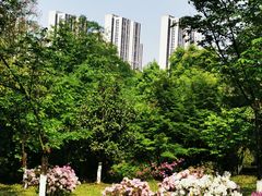 -龙头寺公园