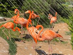 -大连老虎滩海洋公园