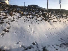 -大冬树山垭口