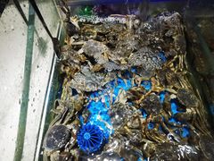 -加餐海鲜自助(宝龙一城店)