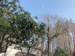 -杭州西湖柳莺里酒店·闻莺厅