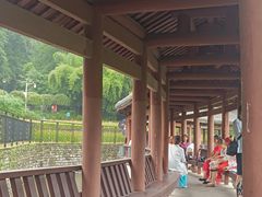 -龙头寺公园