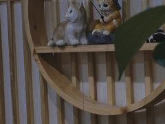 -太乙盲人推拿足疗艾灸连锁(晴川店)
