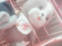-成都失恋馆