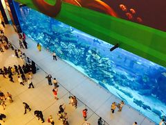 -迪拜水族馆及水下动物园