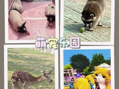 -渔岛海洋度假区