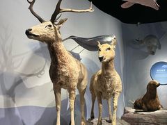-中国湿地博物馆
