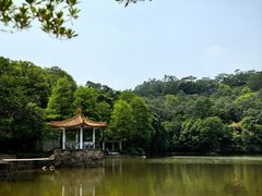-深圳仙湖植物园