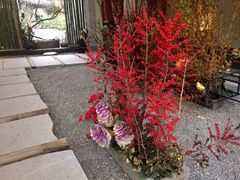-乐领拈花溪·林涧食韵