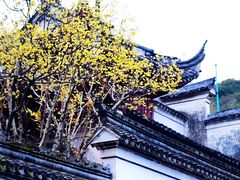 -宁波市保国寺古建筑博物馆