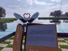 -黑龙江扎龙生态旅游区