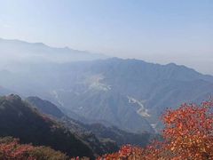 -秦岭风景区
