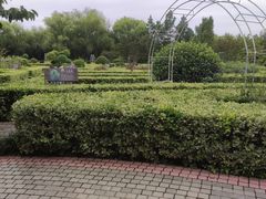 -洛阳市隋唐城遗址植物园