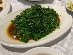 -广玉兰上海菜(德平店)
