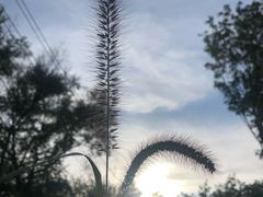 -长春公园(普阳街道)