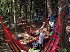 -铁山坪森林公园