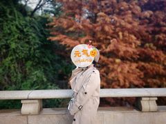 -云溪植物园