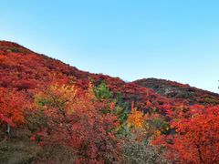 -周口店坡峰岭风景区