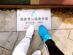 -五龙城郊森林公园