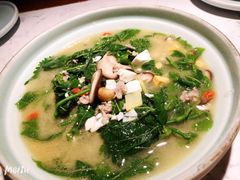 上汤桑叶苗-大榕树下顺德菜(融创茂店)