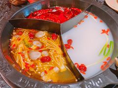 奔驰锅底-蜀大侠火锅(森兰花园城店)