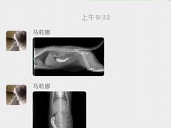 -宠颐生·恒爱宠物医院(静海店)
