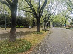 -东华大学(松江校区)