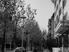 -天津五大道文化旅游区