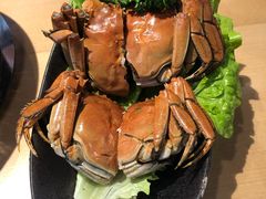 -旺小胖小龙虾