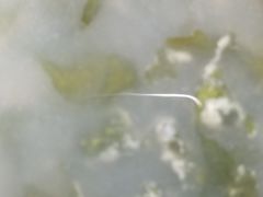 紫菜汤-春晖饭堂(中山大学南校区店)
