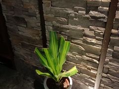 -臻享养生·SPA·影院式足道(汇臻店)
