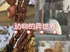 -深圳野生动物园