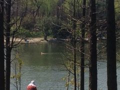 iphone_upload_pic-新江湾城公园