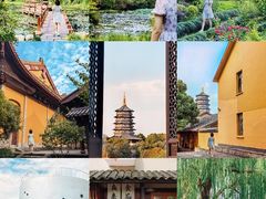 -杭州奥体中心-体育场