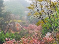 -狐尾山公园