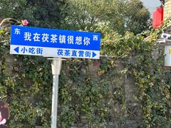 -茯茶镇