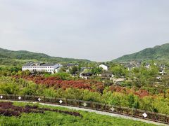 -石塘人家